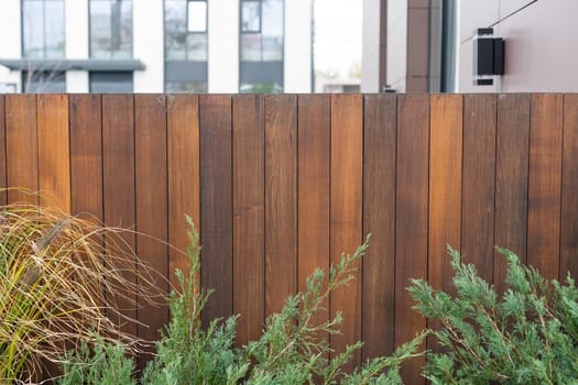 wood texture with natural patterns.