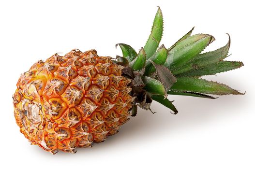 Single pineapple lies isolated on a white background