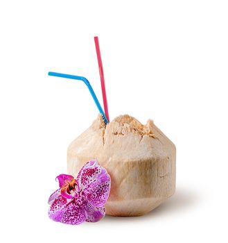 Fresh coconut water drink with orchid flower near isolated on white background