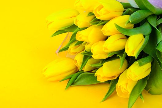 Bouquet of fresh yellow tulips. Studio Photo