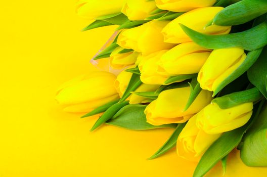 Bouquet of fresh yellow tulips. Studio Photo