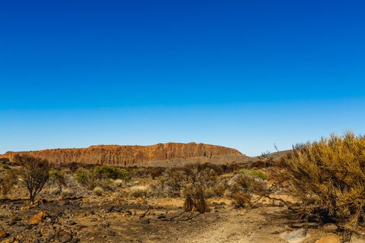 Teide National Park, Tenerife, Canary Islands, Spain