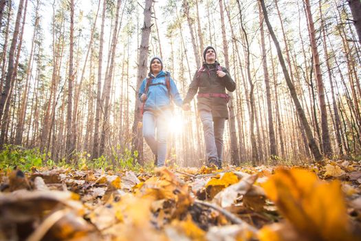 People, camping trip and nature concept - Low-angle shot of tourist couple hiking in forest.