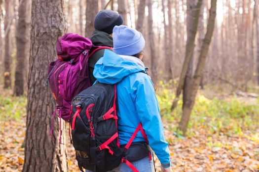 People, hike, tourism and nature concept - Couple tourist hiking in autumn forest, back view.