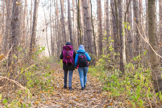 Travel, tourism, hike and nature concept - Tourists walking in park with backpack dressed in blue and black jackets.