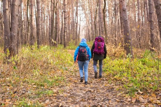 adventure, travel, tourism, hike and people concept - smiling couple walking with backpacks over natural background.