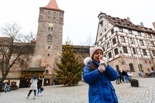 panorama of the old town of nuremberg