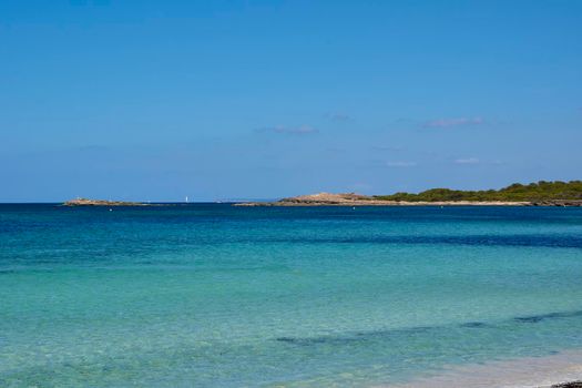 Clear waters on a sunny day. Turquoise water. Vegetation, Balearic Islands. Mediterranean Sea