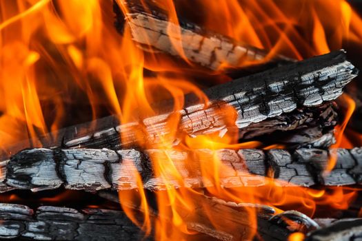 Flames of fire and hot coals of burned wood. Space for copy, text, your words.