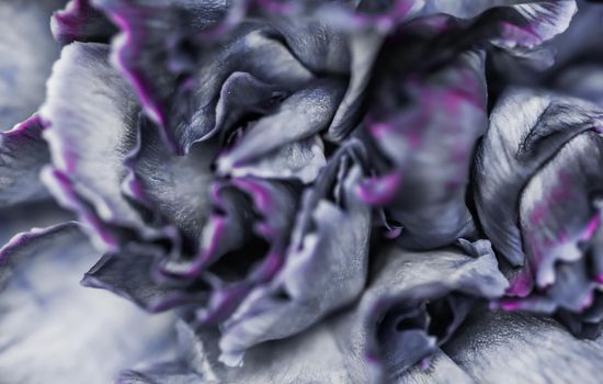 Retro art, vintage card and botanical concept - Abstract floral background, black carnation flower. Macro flowers backdrop for holiday brand design