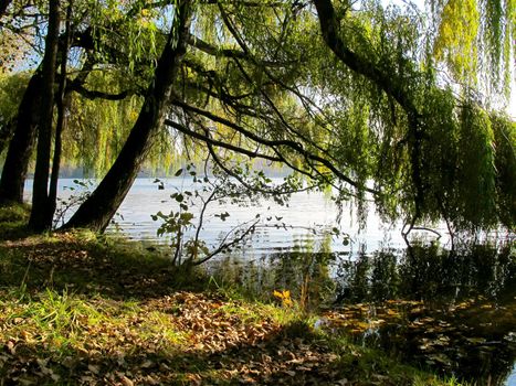 Reflection of autumn foliage of trees in the lake water