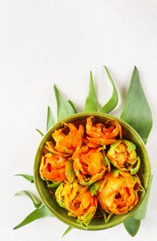 Beautiful orange tulips in a round bowl and green leaves on a white background