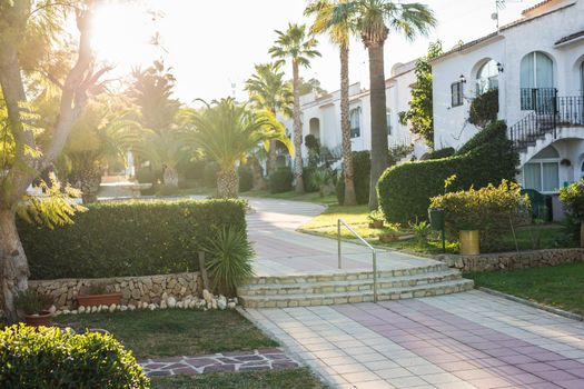 House, building and architecture concept - Street of large suburban homes in summer.