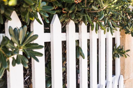 County style white wooden fence. White fence in perspective.