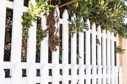 County style white wooden fence. White fence in perspective.