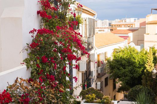 Spain architecture. Blooming ivy with red flowers on a house wall