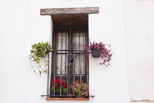 Classic balcony with flowers and green plants
