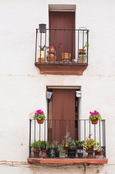 Classic balconies with flowers and green plants