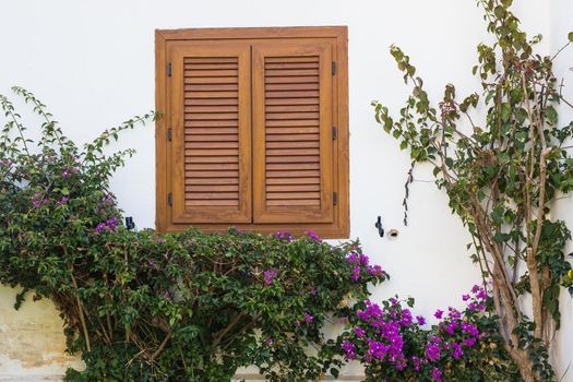 Window shutters of a mediterranean house, vintage background