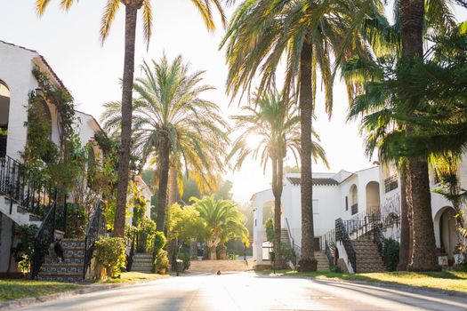 House, building and architecture concept - Street of large suburban homes in summer.