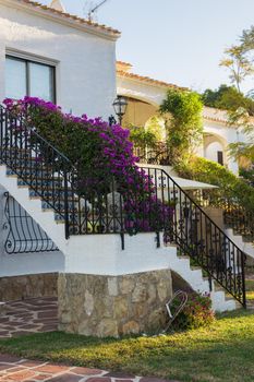 House, exterior and decor concept - Outdoor staircase.