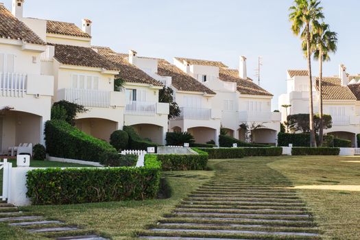 House, building and architecture concept - Street of large suburban homes in summer.