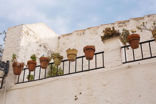 Green potted plants in beautiful pot outdoor.