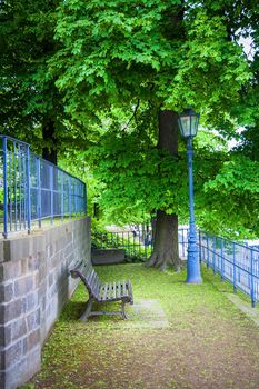 Green city park. old bench and lantern covered with leaves