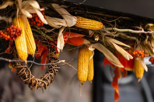 Ripe yellow corn stover string above the door of rural farmhouse symbol of fertility