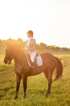 Equestrian sport. Young woman riding horse on dressage advanced test. Horse walk in summer. Sun flare