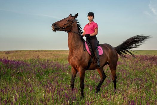 Horsewoman jockey in uniform riding horse outdoors. Sunset. Horseback Riding. Competition. Hobby