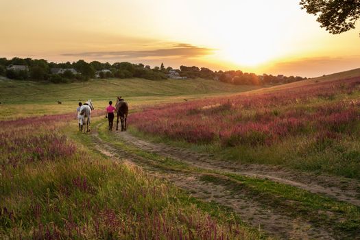 Two woman and two horses outdoor in summer happy sunset together nature. Taking care of animals, love and friendship concept.