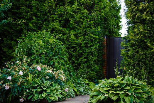 Landscape design