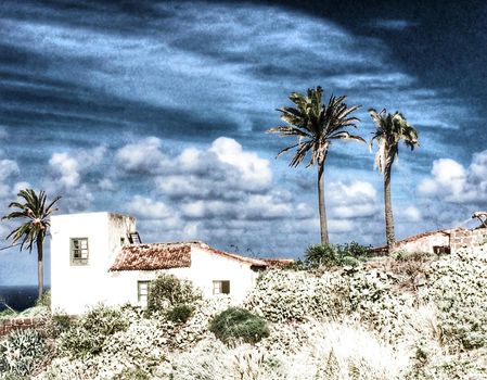 old house in Tenerife under palm trees