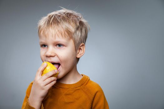 Adorable little boy with blond hair in casual clothes smiling while eating sour lemon against gray background