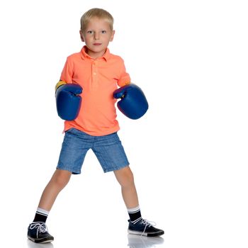 Sports boy in boxing gloves. The concept of a harmonious development of the child, a healthy lifestyle. Isolated on white background.