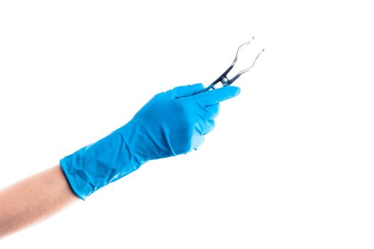 Hand in blue glove holding dental metal clamps isolated on white background