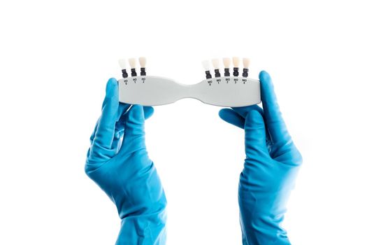 Hands in blue gloves holding dental color palette isolated on white background