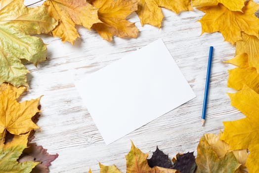 White paper sheet and pencil lies on vintage wooden desk with bright foliage. Flat lay composition with autumn leaves on white wooden surface. Blank notepaper with copy space for design.