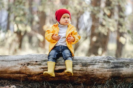 Little girl child sitting on log and looking back in autumn forest. Female kid portrait at nature outdoors with blurred background