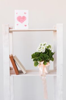 Picture of heart and books and indoor plant on a bookshelf. Minimal composition. Spring interior concept