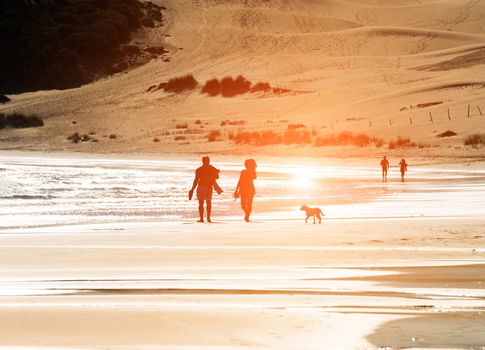 Silhouetted couple walking a dog on the beach