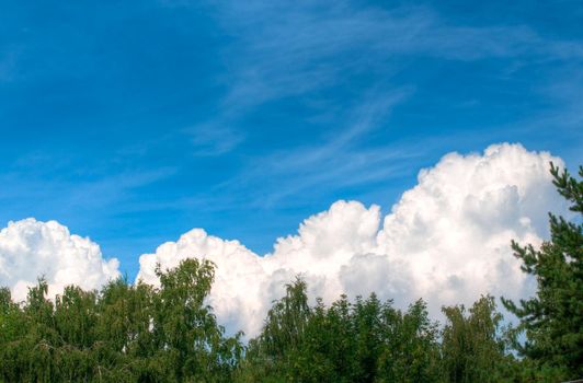 big white cloud in the blue sky over the green forest tree tops