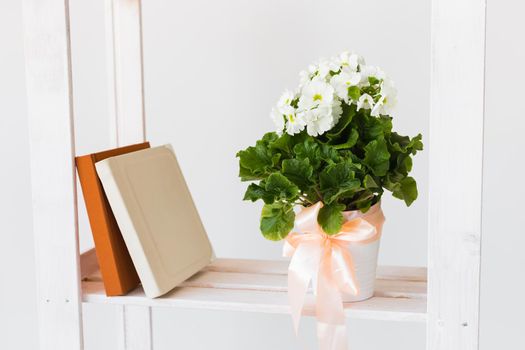 Heart shape gift box and books and indoor plant on a bookshelf. Minimal composition. Spring interior concept