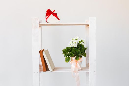 Heart shape gift box and books and indoor plant on a bookshelf. Minimal composition. Spring interior concept