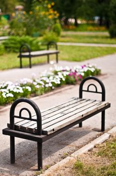 pair of wooden benches in the summer park