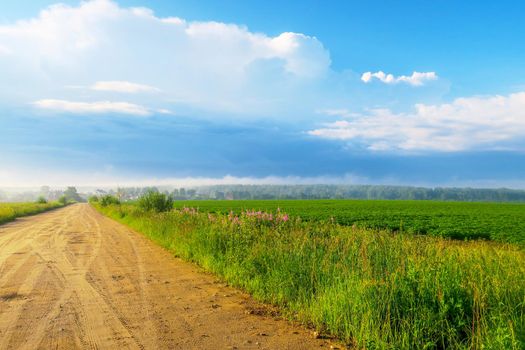 Gravel road on a sunny summer day leading happiness. Relaxing walk along the path. Near the village and summer vacation.