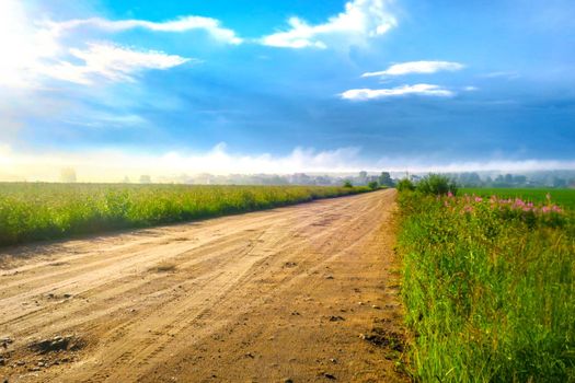 Gravel road on a sunny summer day leading happiness. Relaxing walk along the path. Near the village and summer vacation.