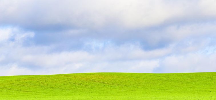 Green grass field on hills and blue sky with clouds in the countryside. Natural landscape