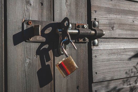 Brass padlock with bolt lock on wooden door.